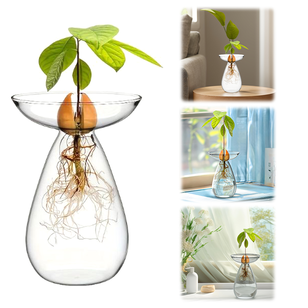 Propagation Station Vase - Avocado Seed Starter Vase Transparent Plant