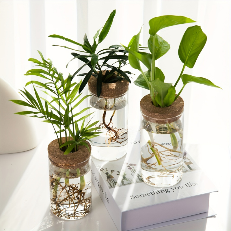 1pc, Hydroponics Plants Deskto - Propagation Station Vase 评论和价格