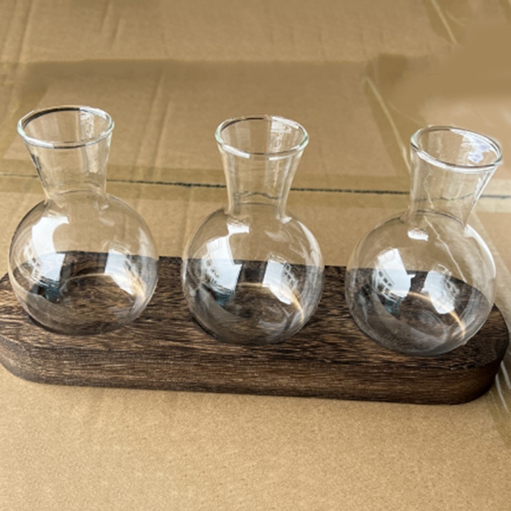 75STO-Hydroponic Plant Vases V - Propagation Station Vase 评论和价格