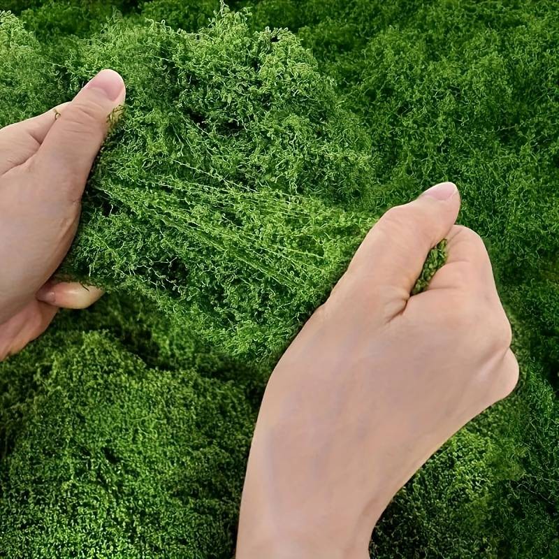 20' X 20' Faux Moss Mat for Pl - Sphagnum Moss Dry 评论和价格