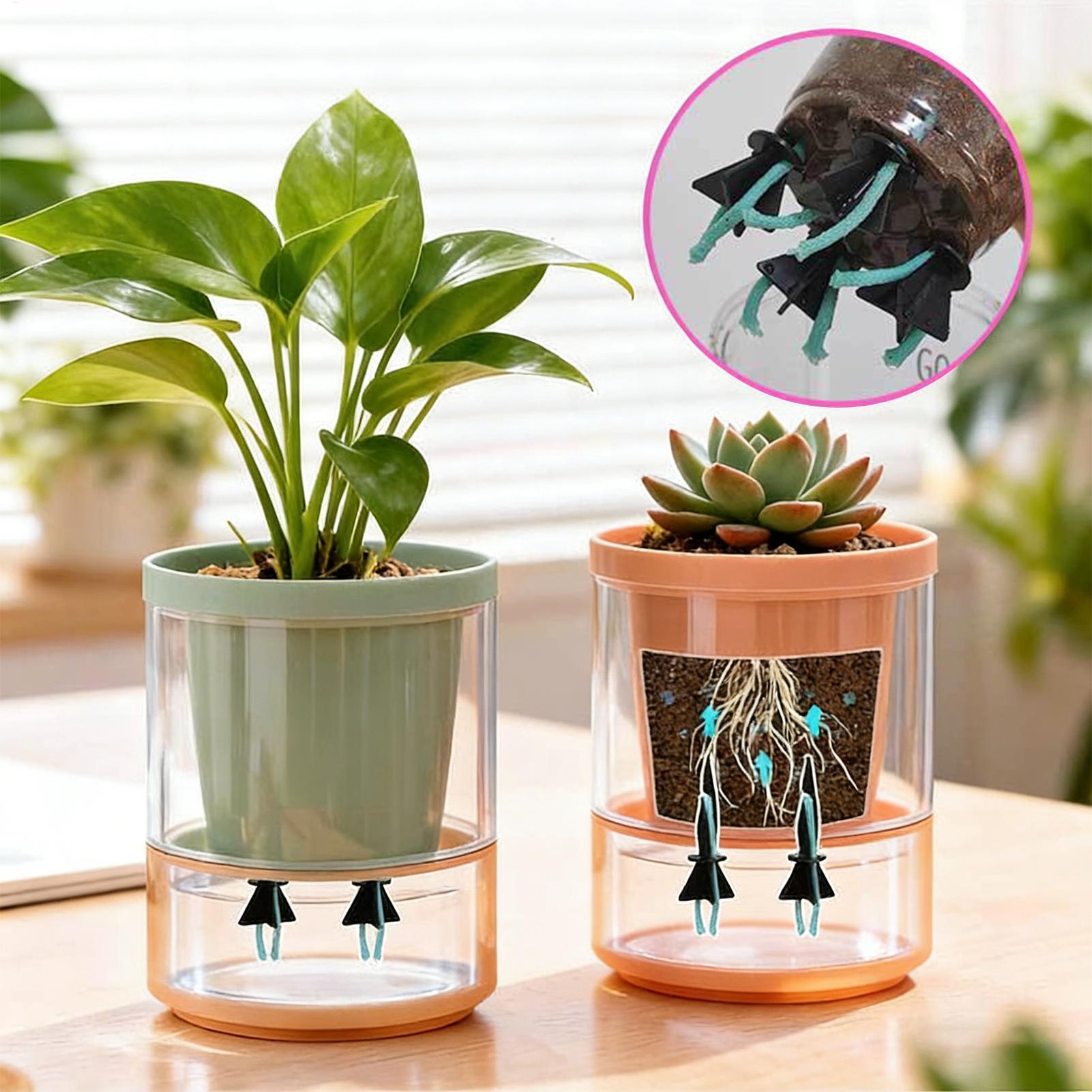 Self Watering Planter Insert 4 - Self Watering Insert 评论和价格