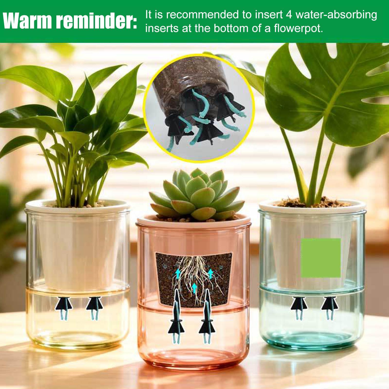 Self Watering Planter Insert 4 - Self Watering Insert 评论和价格