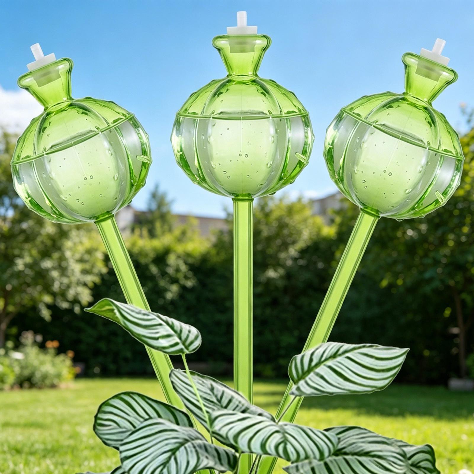 Self-Watering Globes 3 Pieces  - Self Watering Insert 评论和价格
