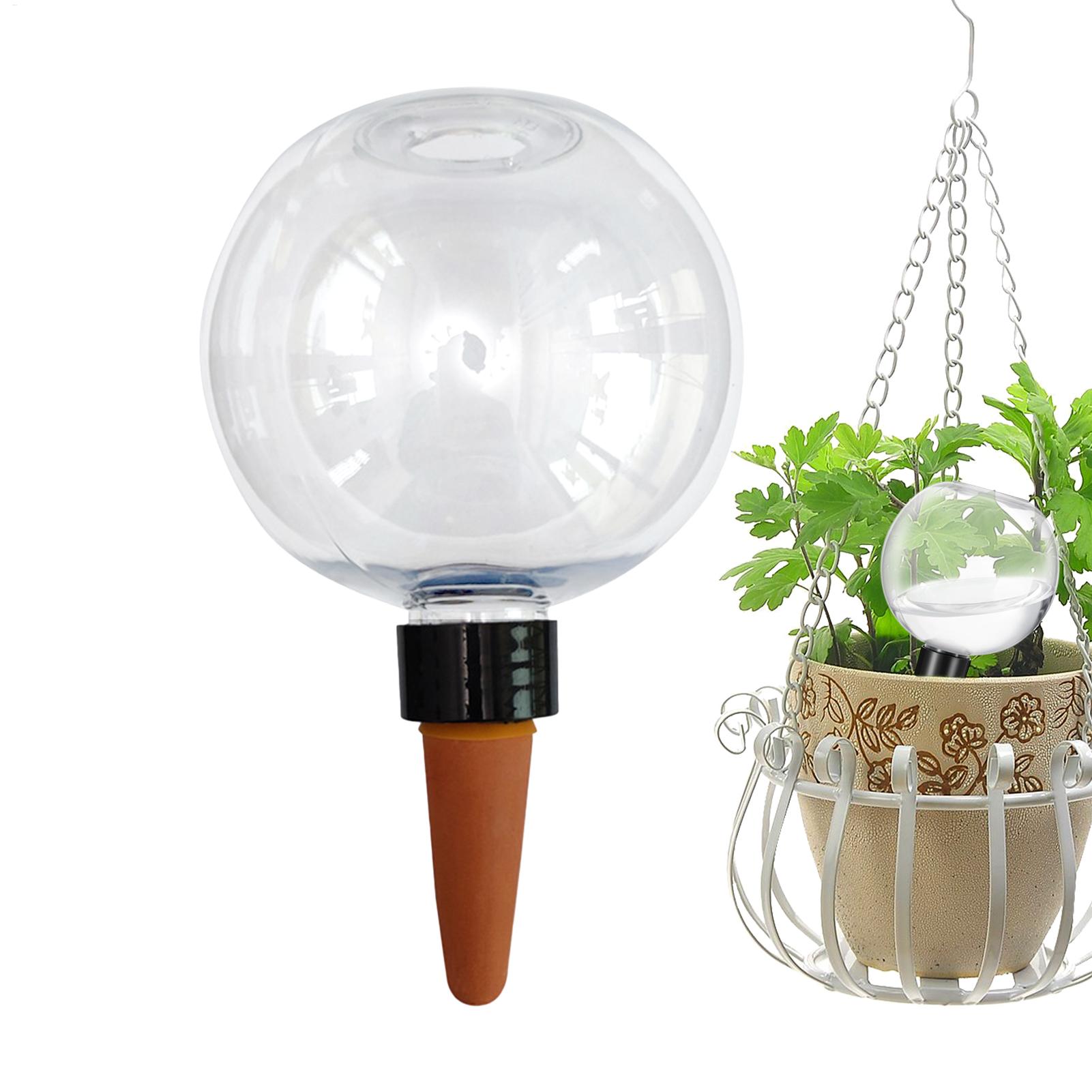 500ml Automatic Watering Globe - Self Watering Insert 评论和价格