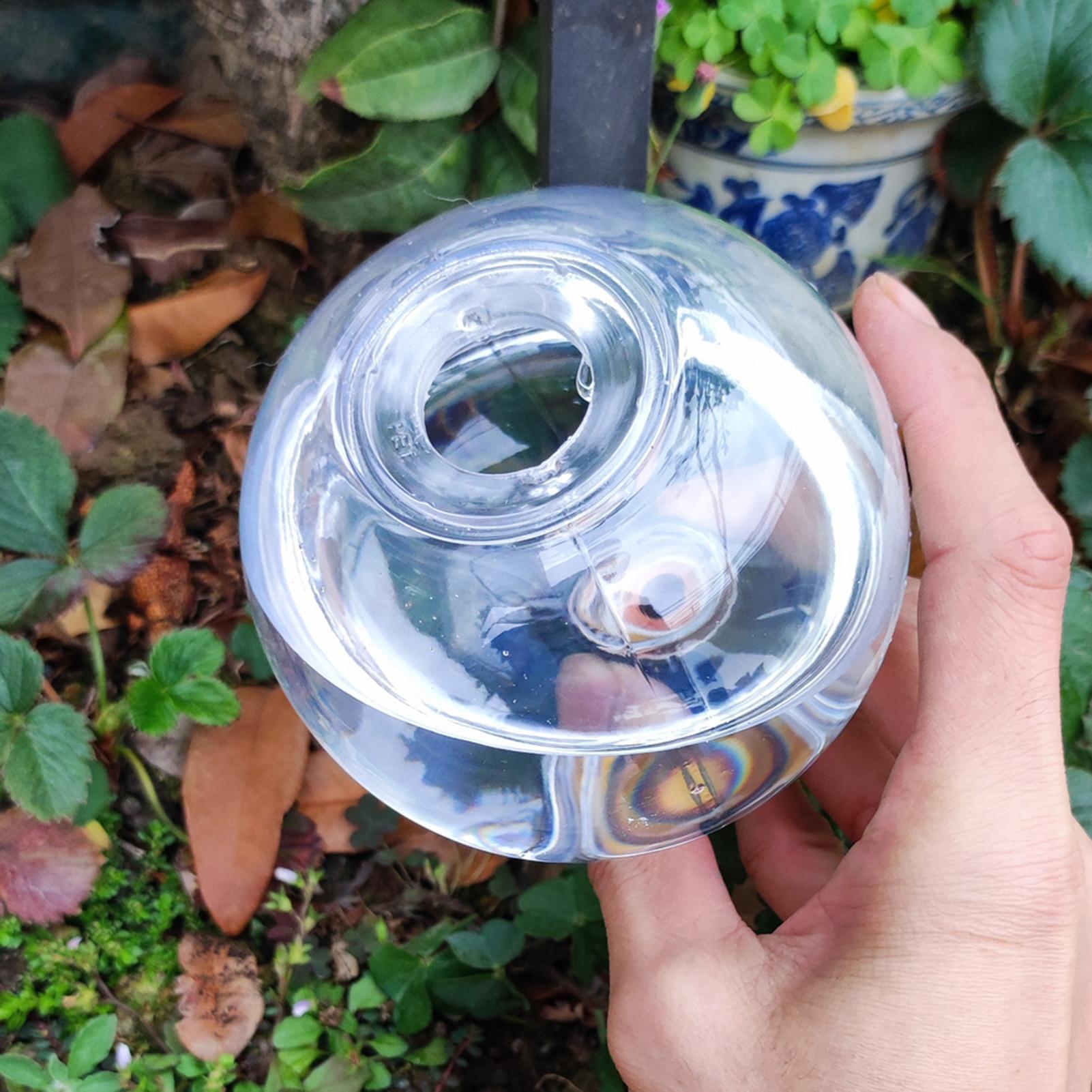 500ml Automatic Watering Globe - Self Watering Insert 评论和价格