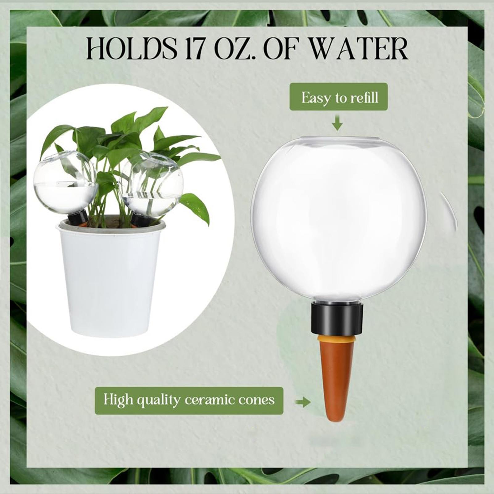 500ml Automatic Watering Globe - Self Watering Insert 评论和价格