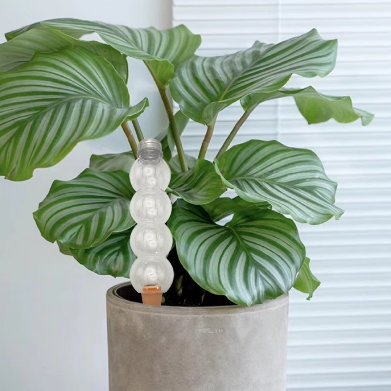 1/2/4Pcs Self Watering Waterin - Self Watering Insert 评论和价格