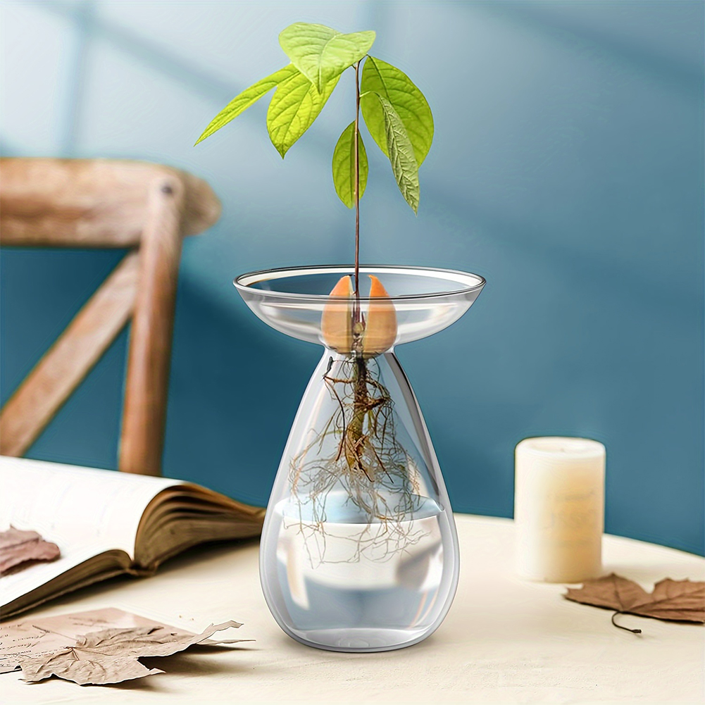 Avocado Seed Starter Vase Tran - Propagation Station Vase 评论和价格