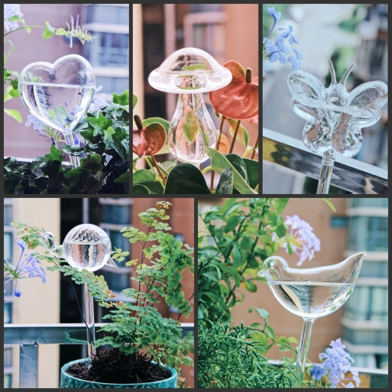 Creative Glass Plant Flowers W - Self Watering Insert 评论和价格