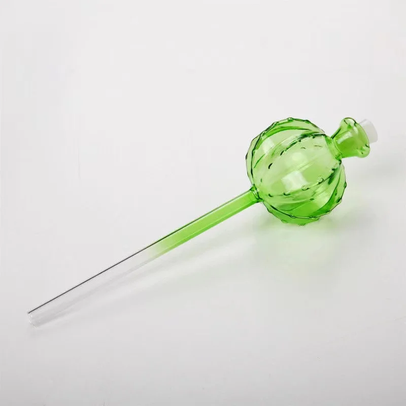 Creative Glass Plant Flowers W - Self Watering Insert 评论和价格