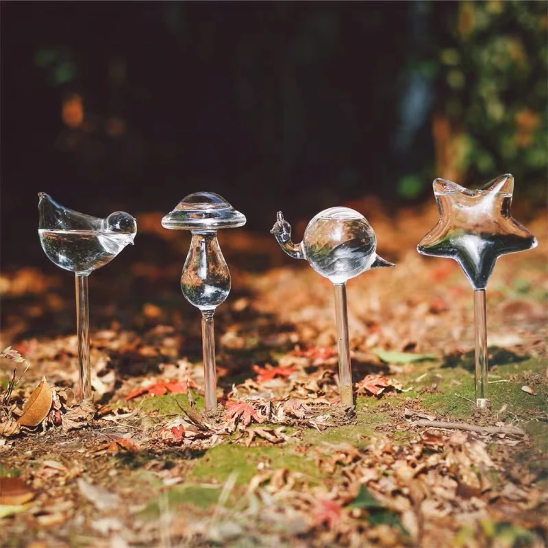 Creative Glass Plant Flowers W - Self Watering Insert 评论和价格