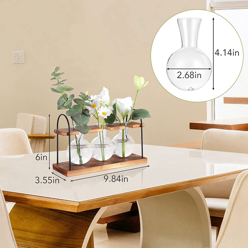 Plant Propagation Station with - Propagation Station Vase 评论和价格