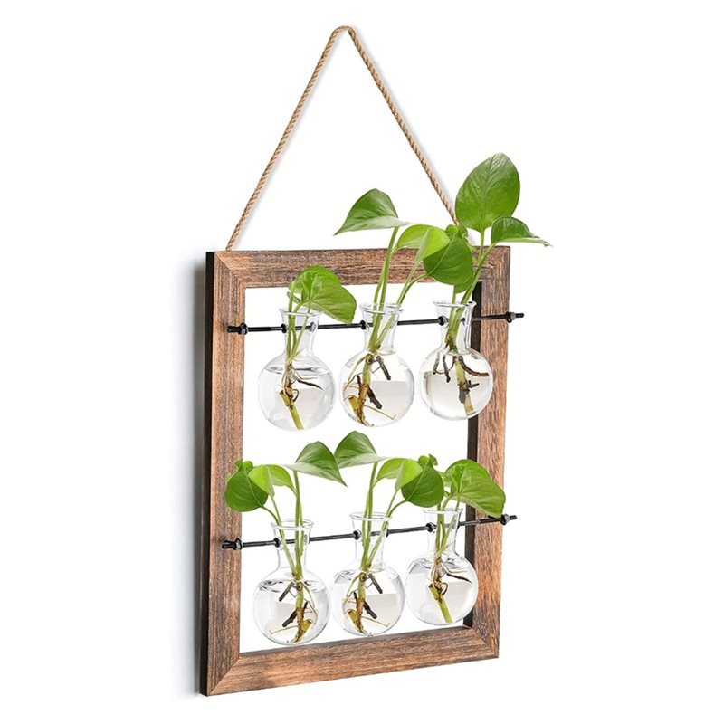 Wall Hanging Propagation Stati - Propagation Station Vase 评论和价格