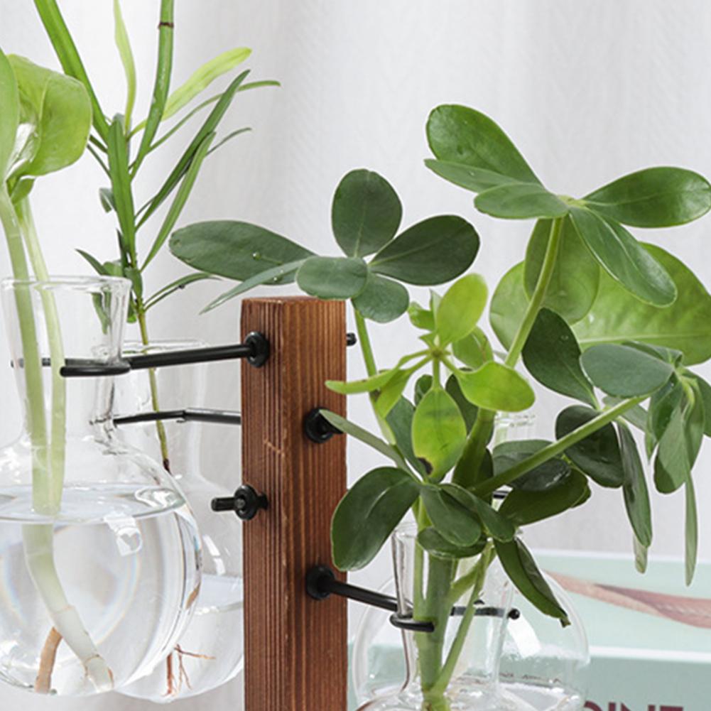 1 Set 10*25cm Plants Propagati - Propagation Station Vase 评论和价格