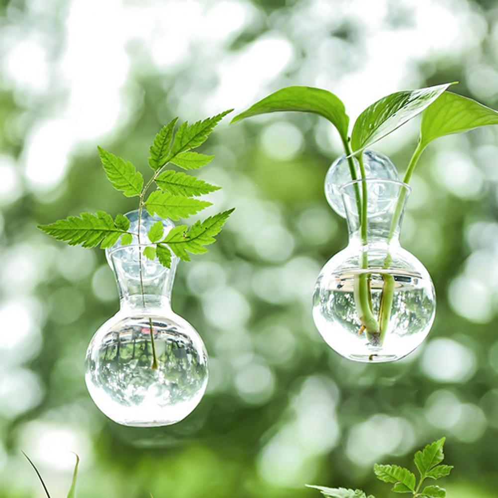 1/2/3/4/6/8Pcs Plant Propagati - Propagation Station Vase 评论和价格