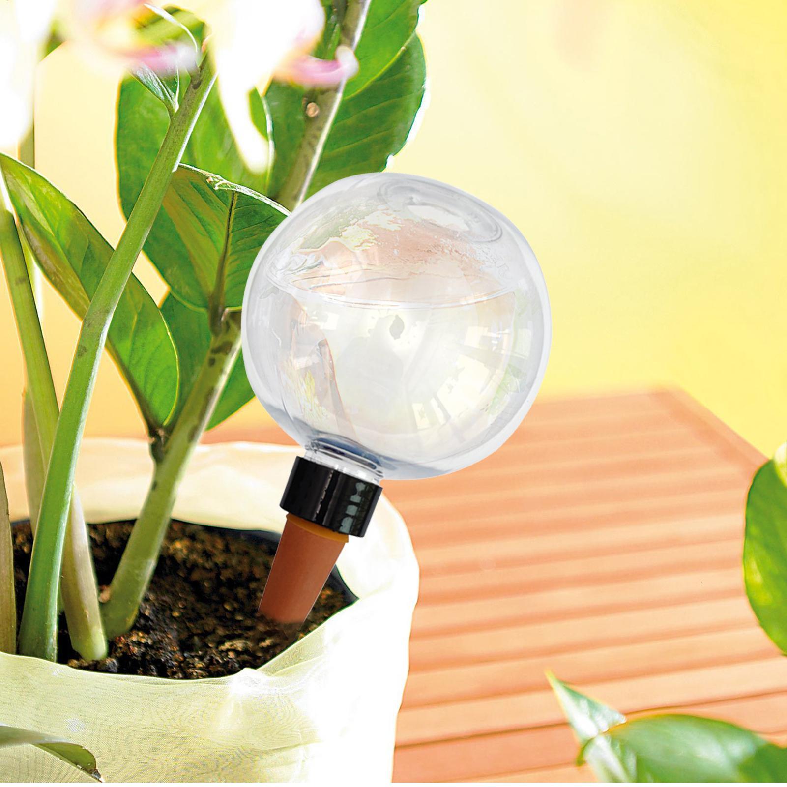 500ml Automatic Plant Watering - Self Watering Insert 评论和价格