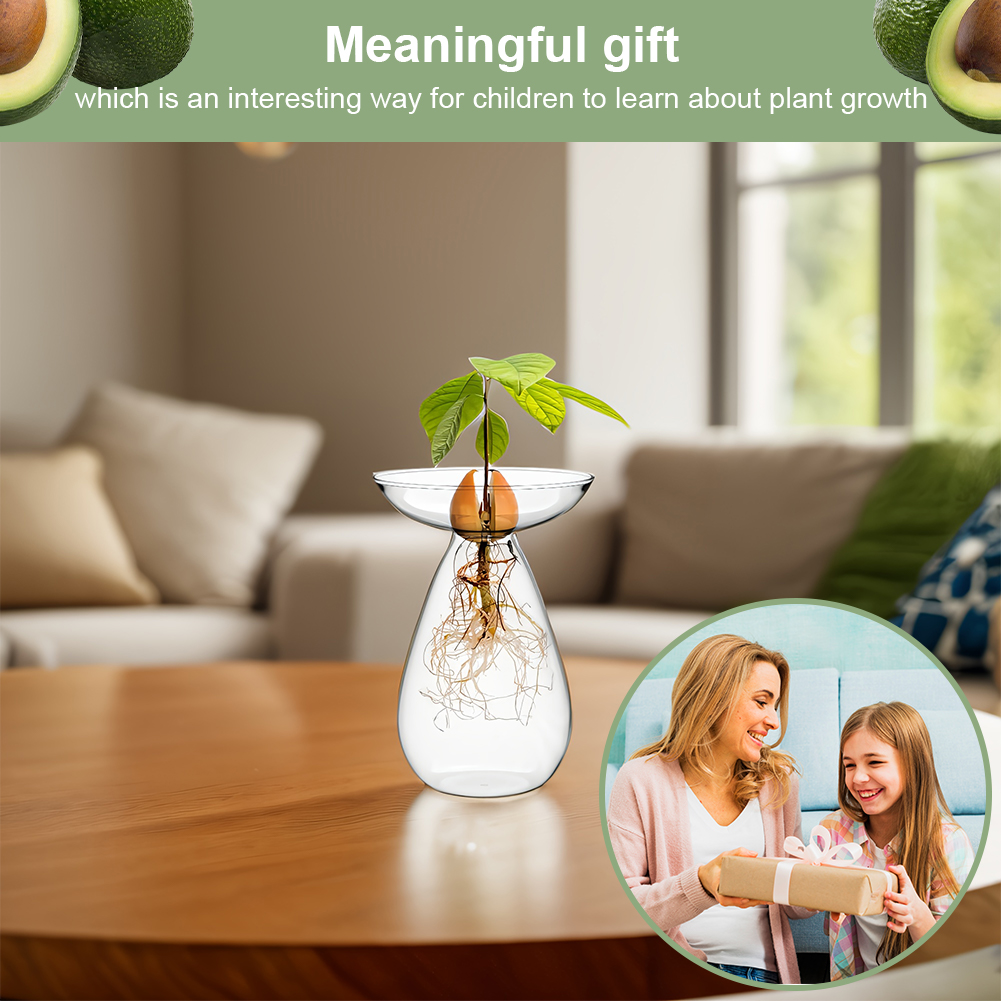Avocado Seed Starter Vase Tran - Propagation Station Vase 评论和价格
