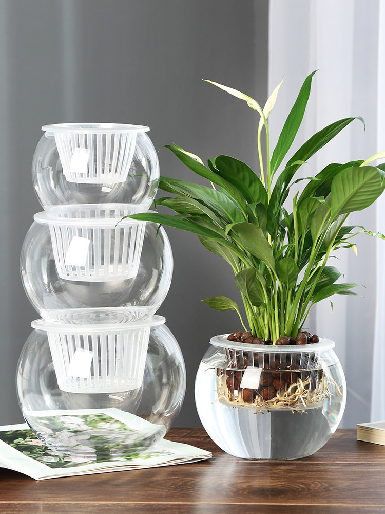 Hydroponic Glass Vase Glass Gr - Propagation Station Vase 评论和价格